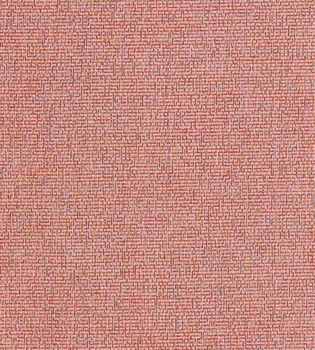 Acies Fabric by Clarke & Clarke Spice