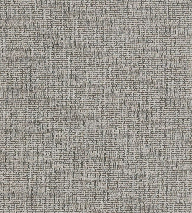Acies Fabric by Clarke & Clarke Taupe