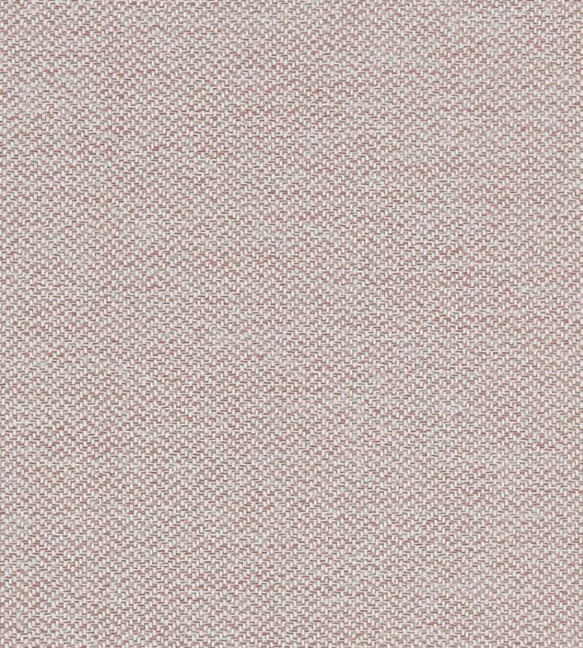 Claro Fabric by Clarke & Clarke Blush