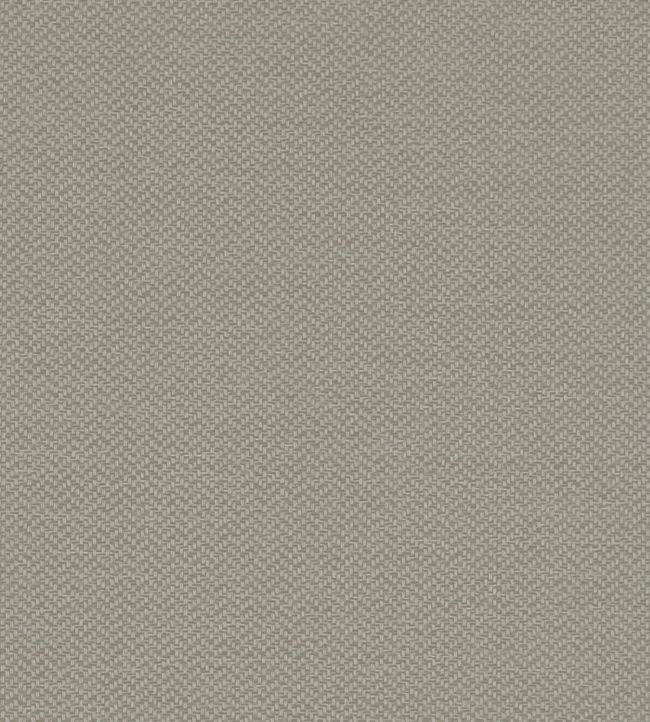 Claro Fabric by Clarke & Clarke Linen