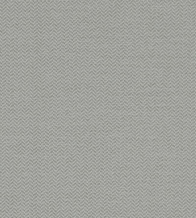 Claro Fabric by Clarke & Clarke Silver