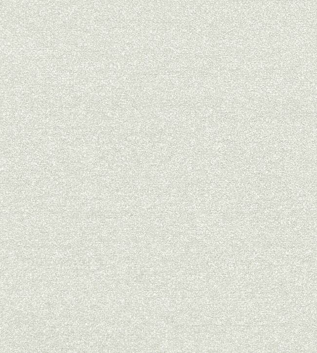 Felpa Fabric by Clarke & Clarke Dove