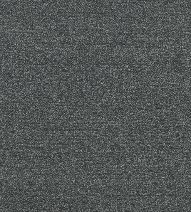 Felpa Fabric by Clarke Clarke