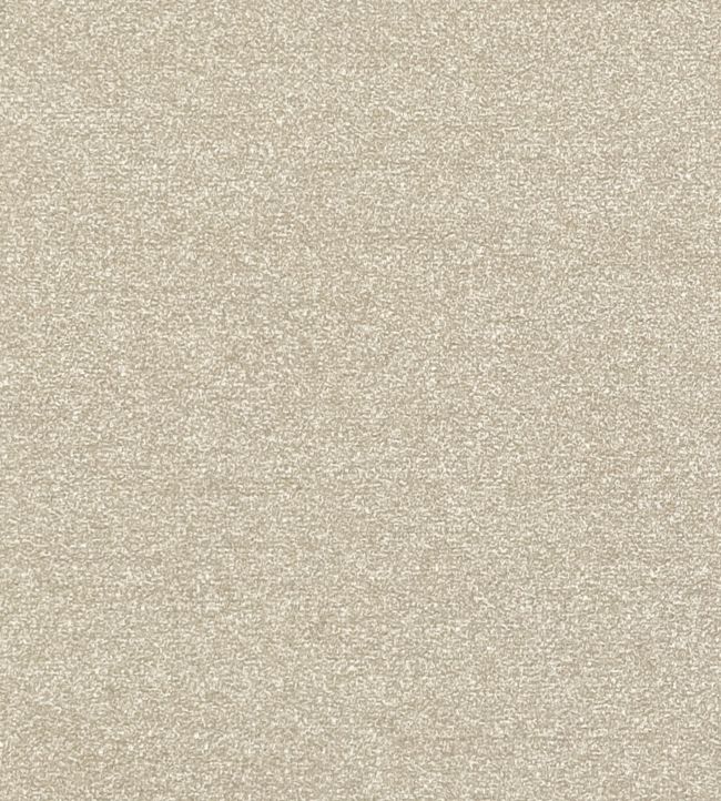 Felpa Fabric by Clarke & Clarke Linen
