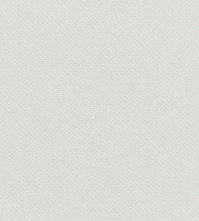 Filum Fabric by Clarke & Clarke Polar