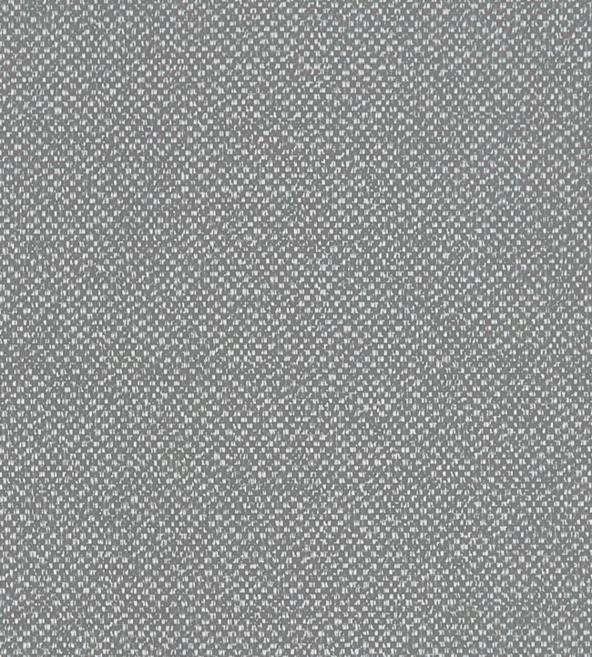 Filum Fabric by Clarke & Clarke Storm