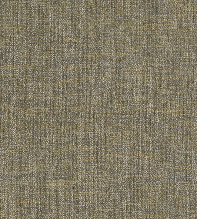 Llanara Fabric by Clarke & Clarke Antique