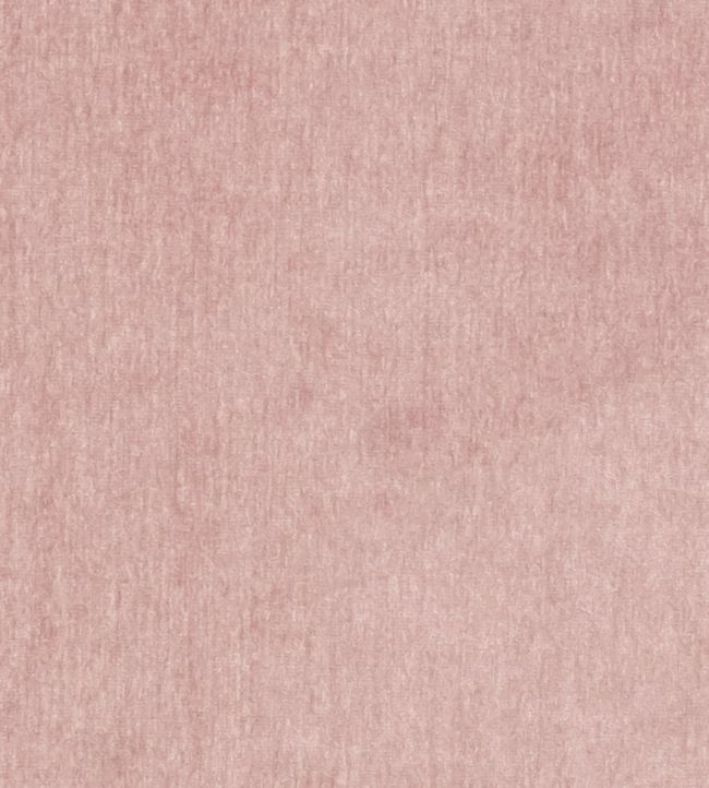 Maculo Fabric by Clarke & Clarke Blush