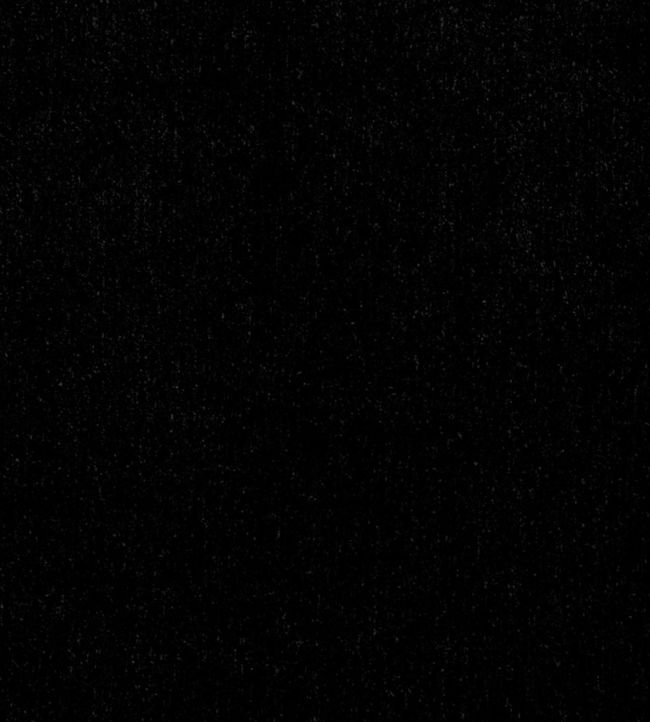 Maculo Fabric by Clarke & Clarke Ebony