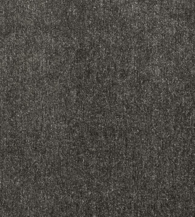 Maculo Fabric by Clarke & Clarke Graphite