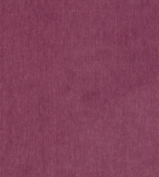 Maculo Fabric by Clarke & Clarke Raspberry