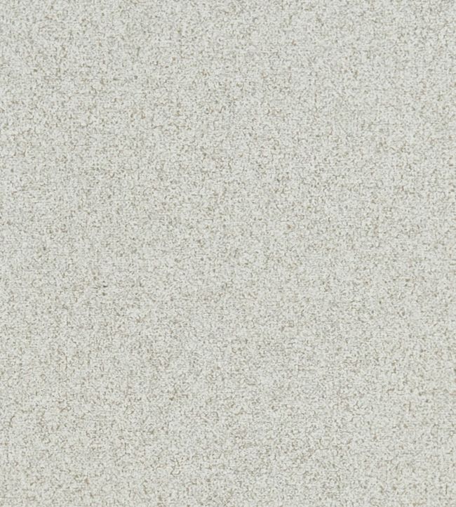 Misto Fabric by Clarke & Clarke Natural