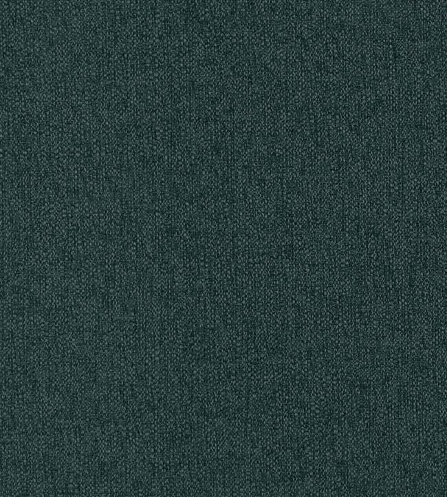 Pianura Fabric by Clarke & Clarke Arctic