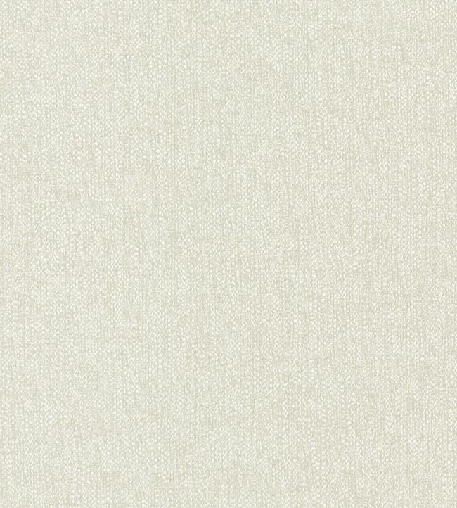 Pianura Fabric by Clarke & Clarke Ivory