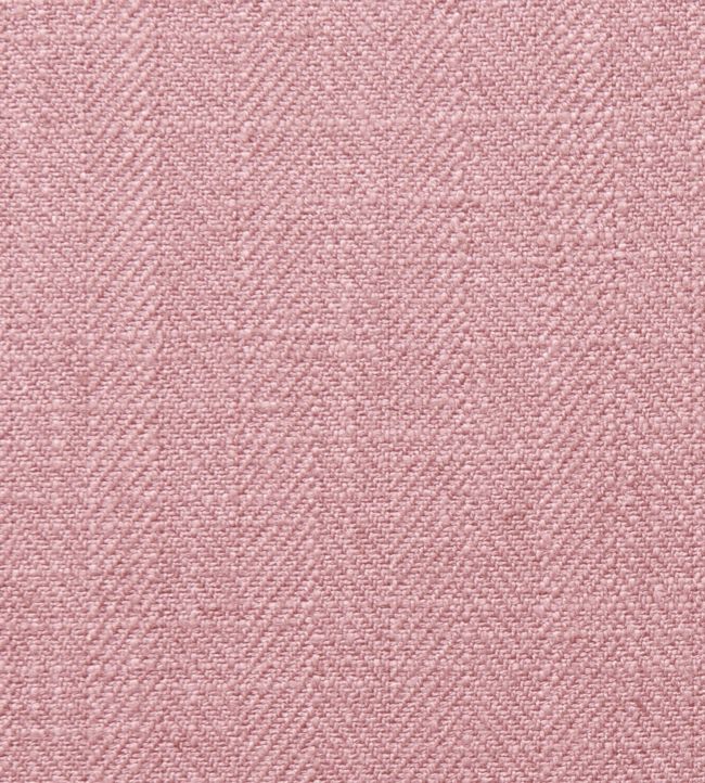 Henley Fabric by Clarke & Clarke Peony