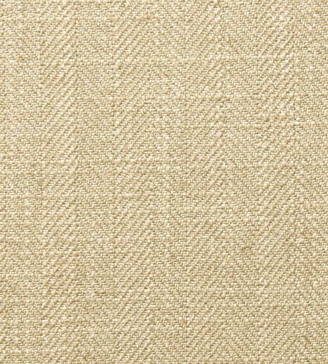 Henley Fabric by Clarke & Clarke Seasame