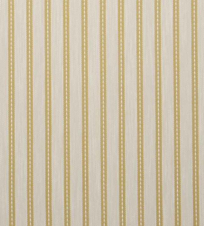 Welbeck Fabric by Clarke & Clarke Acacia