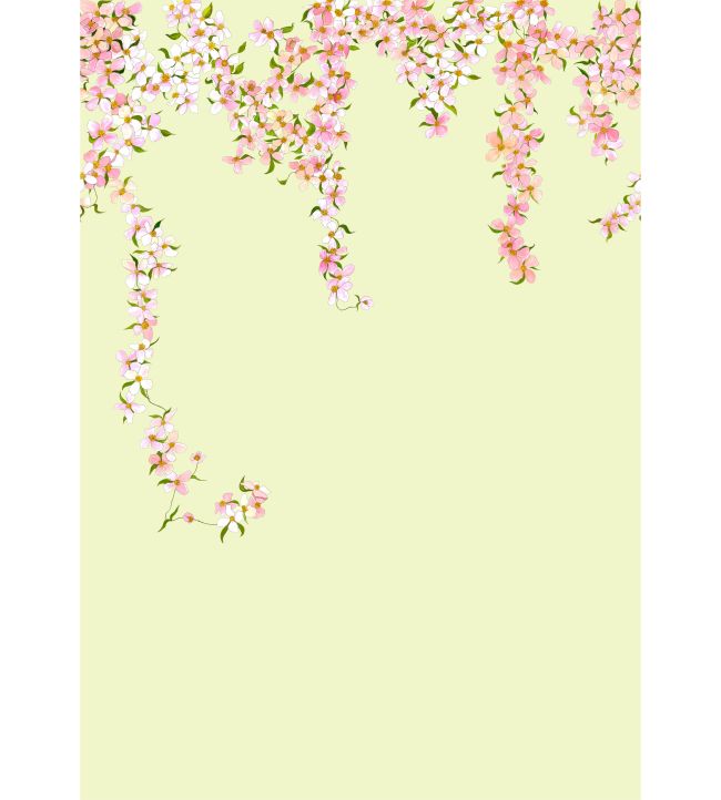 Clematis Wallpaper mural in Candy Stripe by Fraiche Design | Jane Clayton