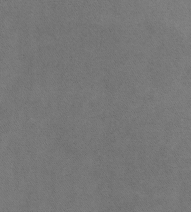 Club Velvet Fabric by Thibaut Alloy