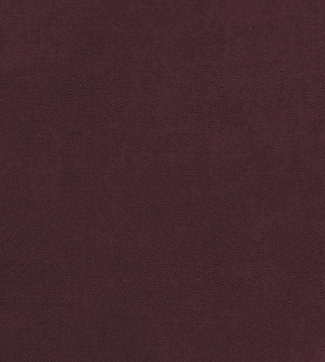 Club Velvet Fabric by Thibaut Aubergine