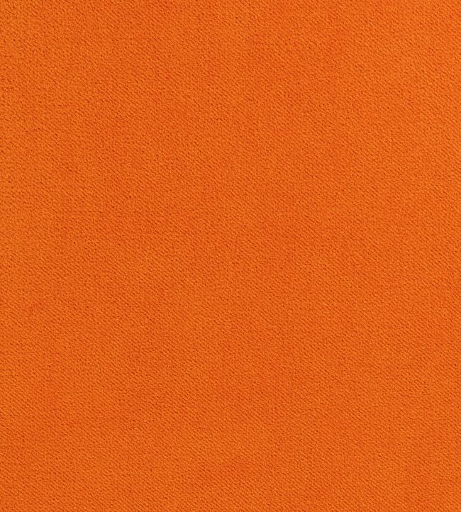 Club Velvet Fabric by Thibaut Autumn