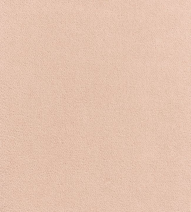Club Velvet Fabric by Thibaut Blush