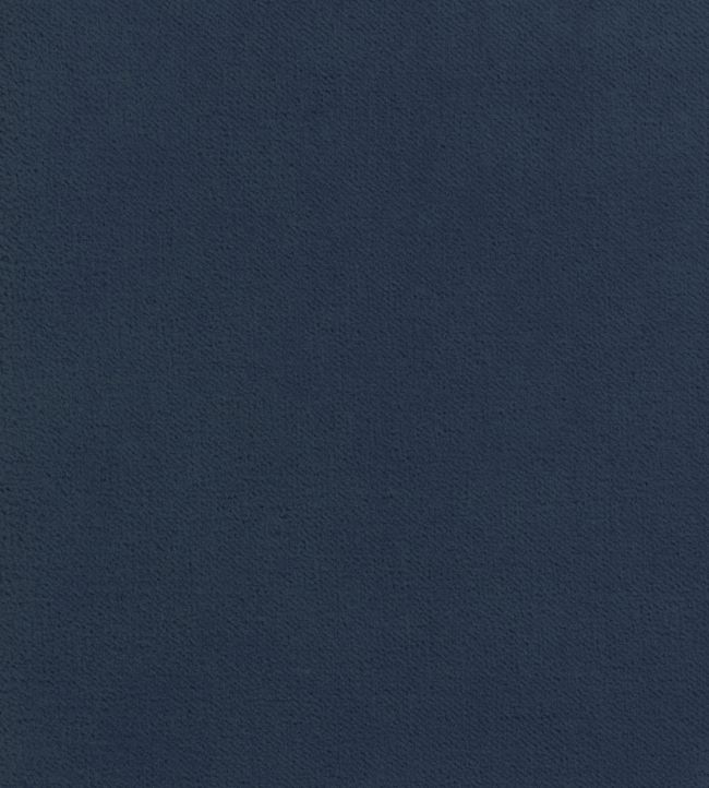 Club Velvet Fabric by Thibaut Cadet