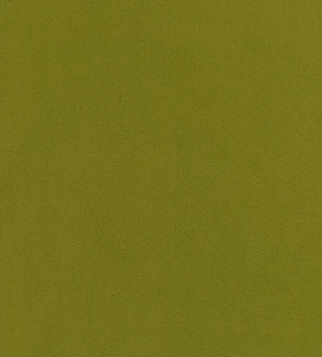 Club Velvet Fabric by Thibaut Citron