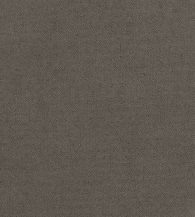 Club Velvet Fabric by Thibaut Flannel