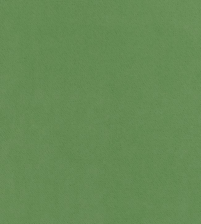Club Velvet Fabric by Thibaut Grass