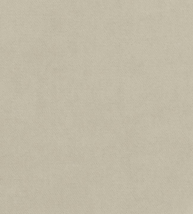 Club Velvet Fabric by Thibaut Oyster