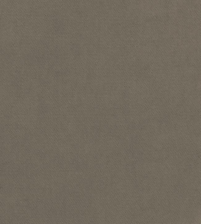 Club Velvet Fabric by Thibaut Smoke
