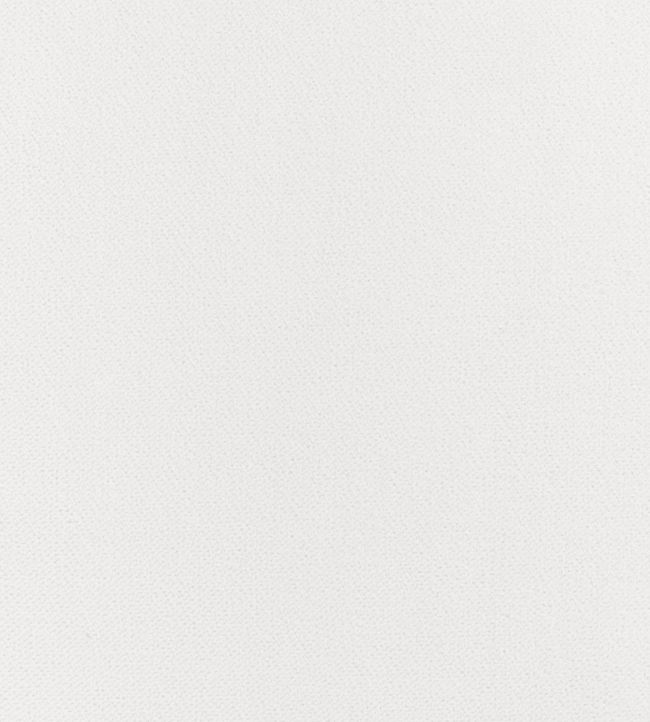 Club Velvet Fabric by Thibaut Snow White