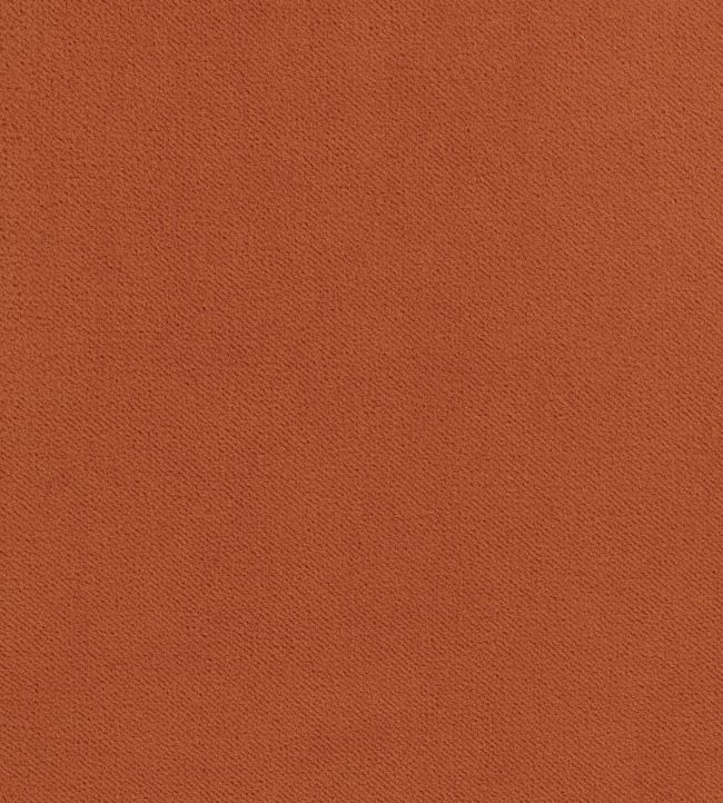 Club Velvet Fabric by Thibaut Terra Cotta