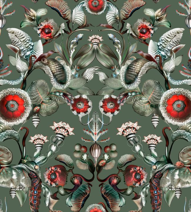 Coccinella Bella Wallpaper by Moooi Sage Green