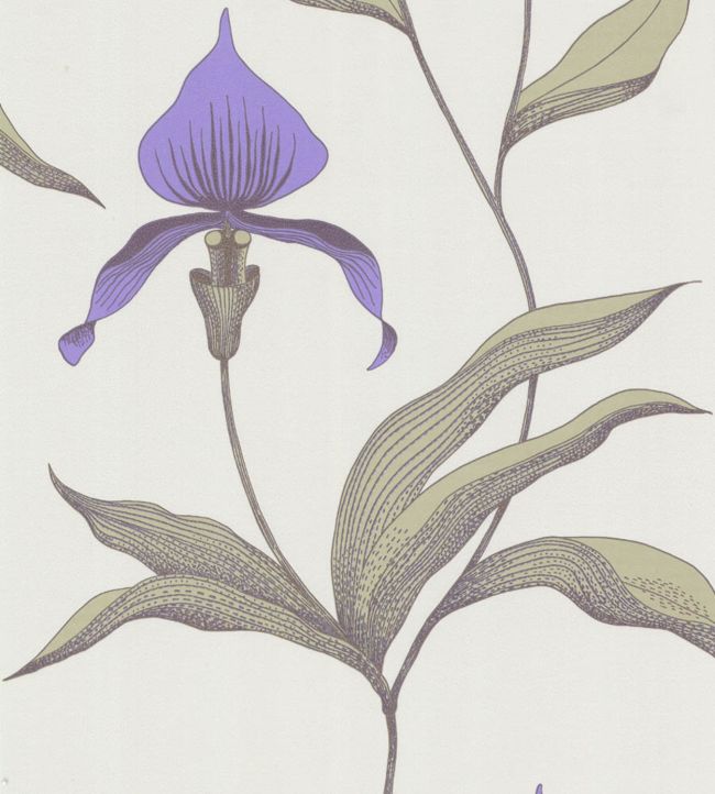 Orchid Wallpaper by Cole & Son 24
