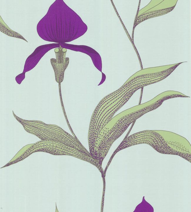 Orchid Wallpaper by Cole & Son in 27 Jane Clayton