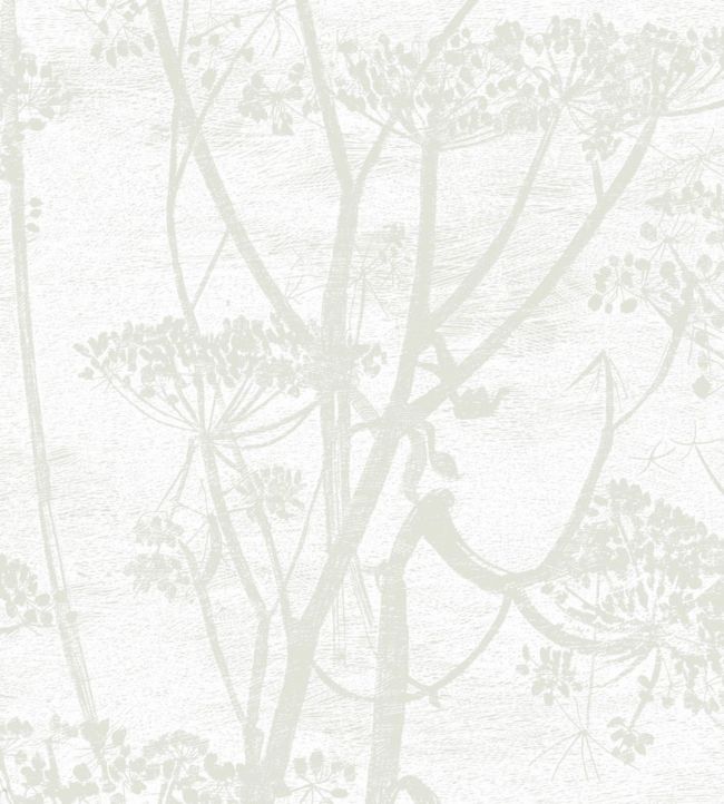 Cow Parsley Wallpaper by Cole & Son Pale Neutral Grey