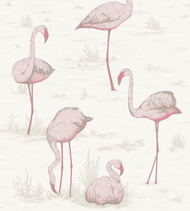 Flamingos Wallpaper by Cole & Son 45