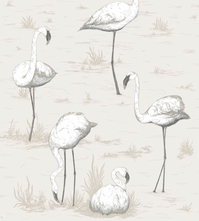 Flamingos Wallpaper by Cole & Son 46