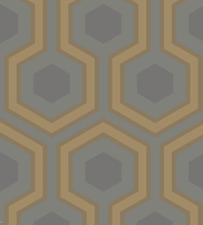Hicks' Grand Wallpaper by Cole & Son 33