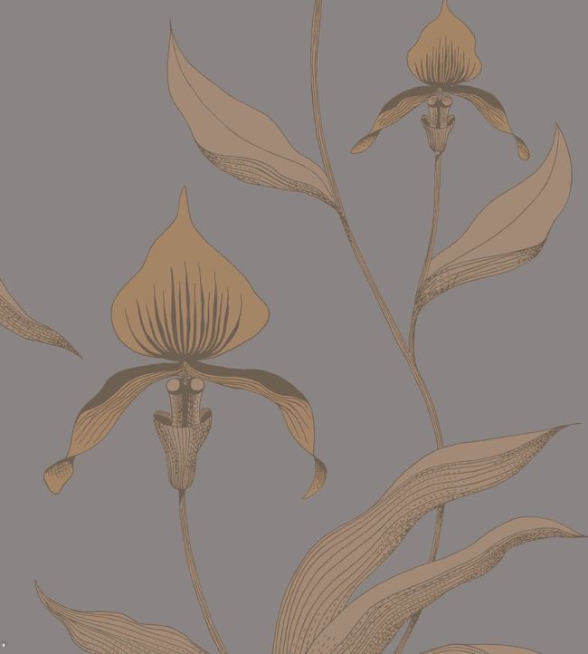 Orchid Wallpaper by Cole & Son 56