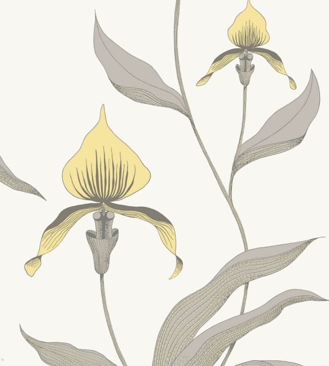 Orchid Wallpaper by Cole & Son 57