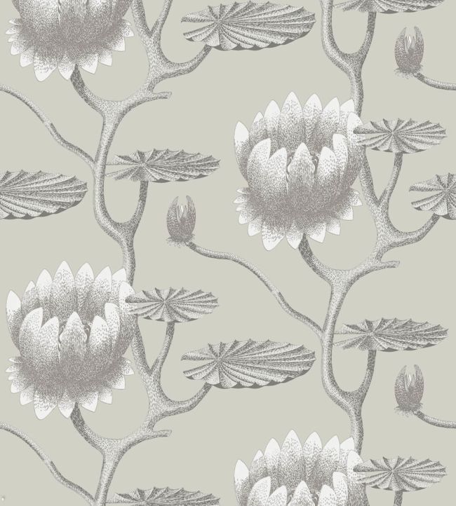 Summer Lily Wallpaper by Cole & Son 25