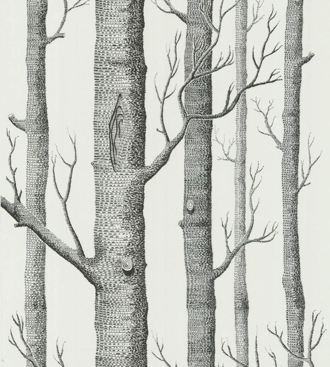 Woods Wallpaper by Cole & Son in 147 | Jane Clayton
