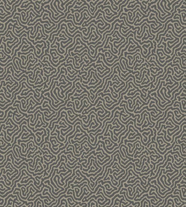 Vermicelli Wallpaper by Cole & Son in 4017 Jane Clayton