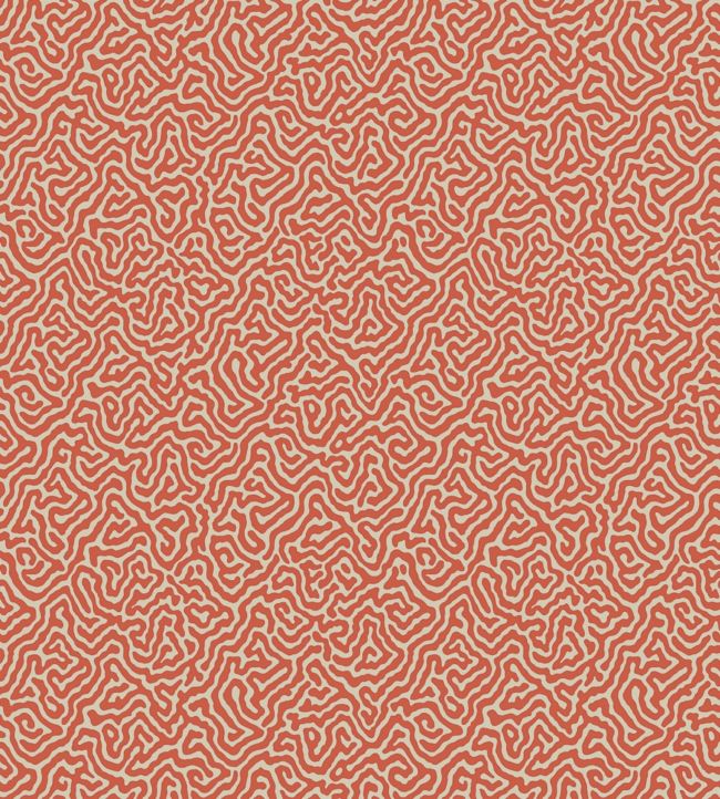 Vermicelli Wallpaper by Cole & Son in 4018 Jane Clayton