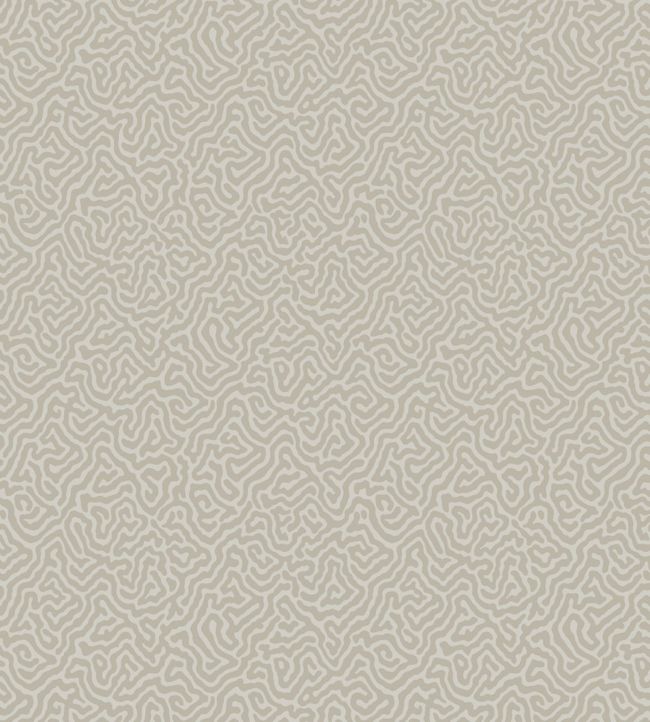 Vermicelli Wallpaper by Cole & Son in 4019 Jane Clayton