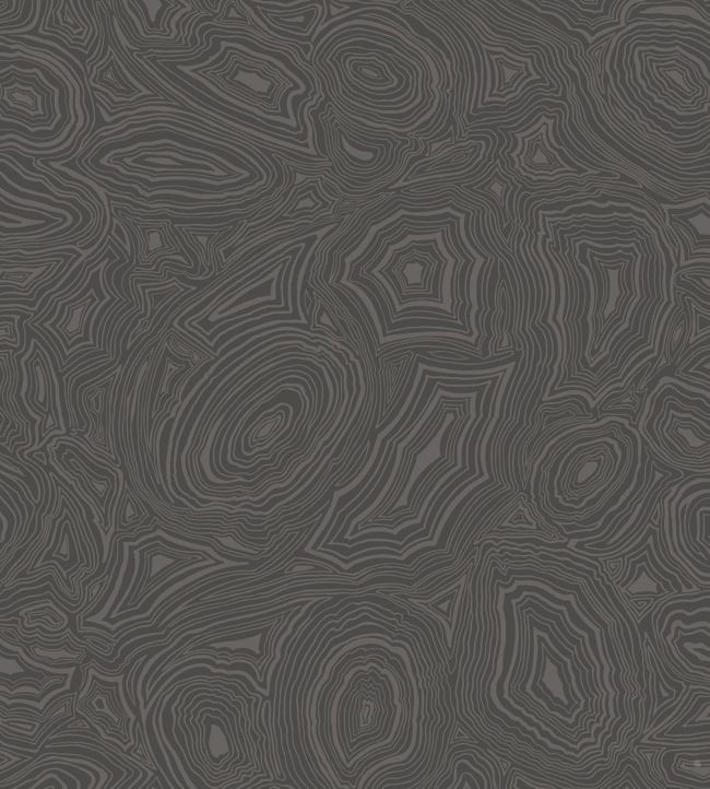 Malachite Wallpaper by Cole & Son in Charcoal & Silver Jane Clayton