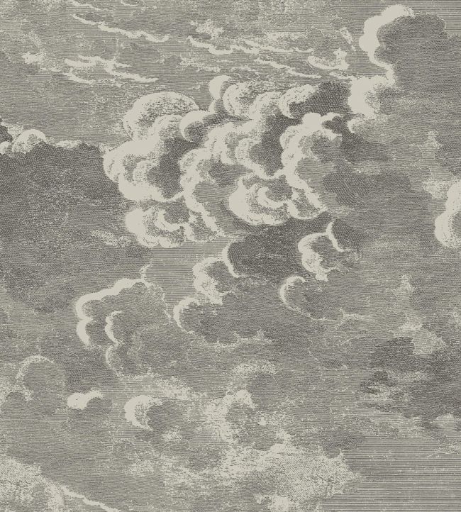 Nuvolette Mural by Cole & Son Gilver & Charcoal